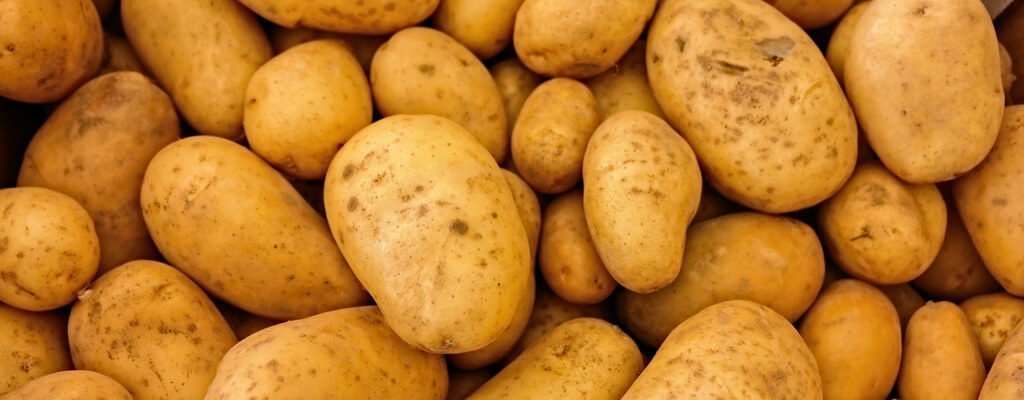 Kartoffelbrot – Die Erdknolle mal anders